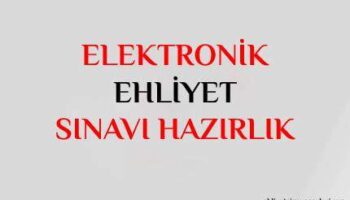 elektronik esinav sorulari